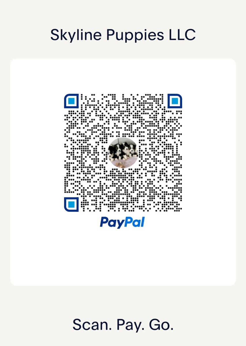 Pay with PayPal, Venmo or Card Pay with PayPal, Venmo or Card